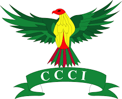 Certificate of Member